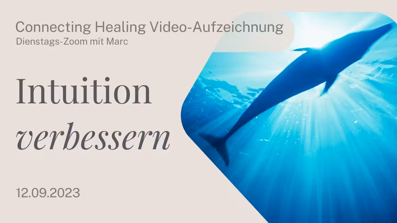 Intuition Verbessern